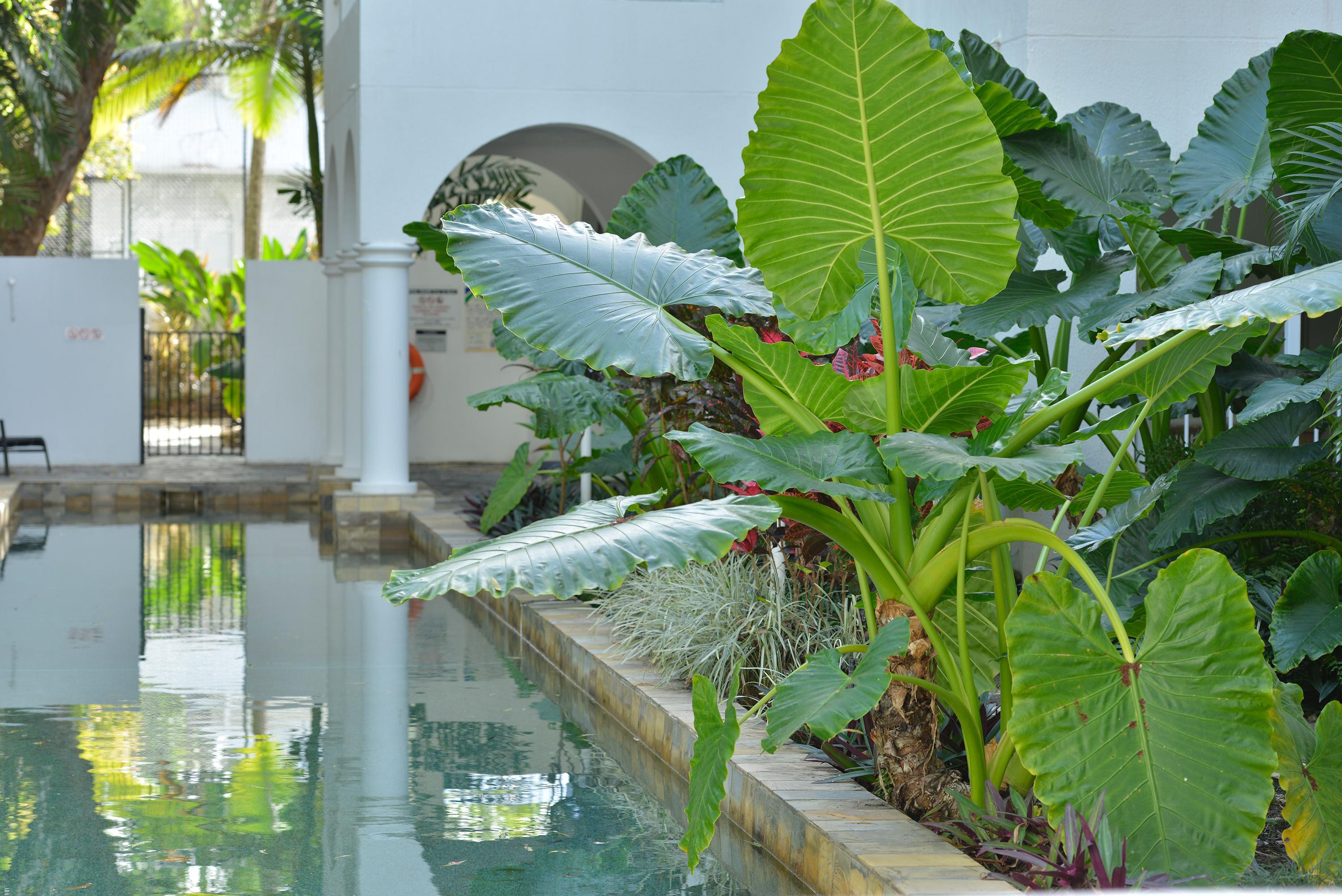 Mantra Portsea Hotel Port Douglas Luaran gambar